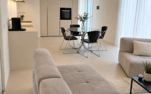 « Appartement de standing 3.5 pcs dans un éco-quartier »