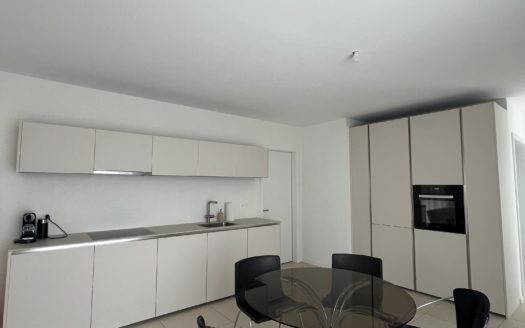 « Appartement de standing 3.5 pcs dans un éco-quartier »